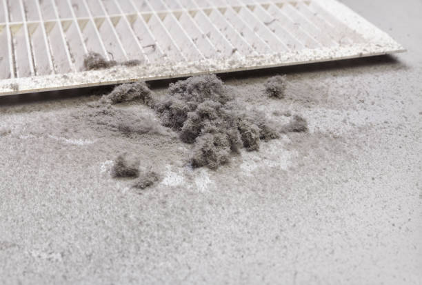 Best Duct Cleaning for Homes  in Nixon, PA