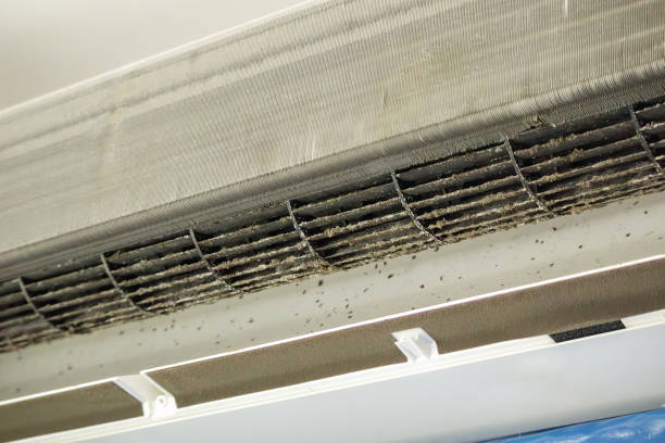Best Affordable Air Duct Cleaning  in Nixon, PA